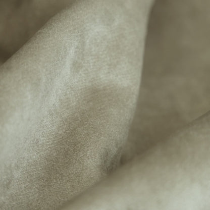 TERRA Tissu Velours, amis des animaux et Waterproof